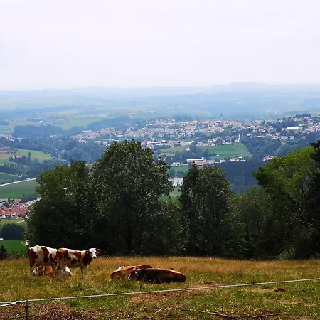 Mit Moeblierter Terrasse Und Waldblick * Hauzenberg