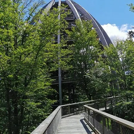Mit Moeblierter Terrasse Und Waldblick Apartment